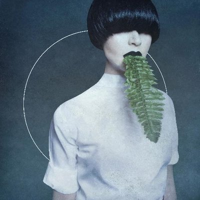 Profile Picture of Kangding Ray (@kangding_ray) on Twitter