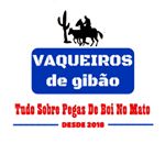 Profile Picture of Vaqueiros De Gibão 🌵🐂🏇 (@vaqueiros_de_gibao) on Instagram