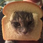 Profile Picture of Hunter Purcell (@bowtiemaster) on Instagram