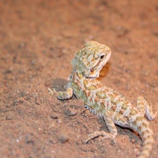 Profile Picture of Bobby Leentfaar (@bobby.leentfaar) on Facebook