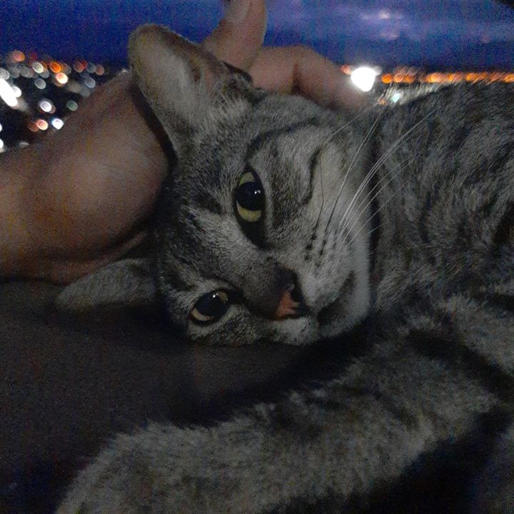 Profile Picture of dominick (@dominickdeleon737) on Tiktok