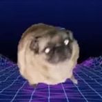 Joshua Coronado - Facebook Profile Picture of Joshua Coronado (@Joshua-Coronado) on Facebook