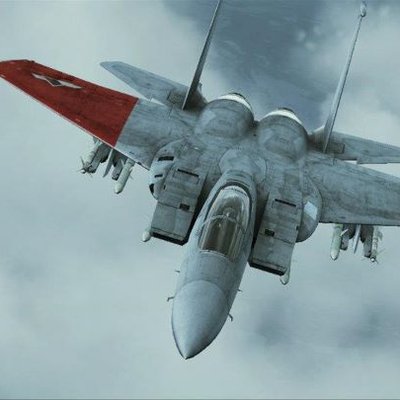 Profile Picture of Matthew Vreeland 🐻 (@SonOfLiberty90) on Twitter