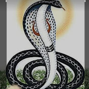 Nagdev - Youtube Profile Picture of Nagdev (@ishwarrajpurohit) on Youtube