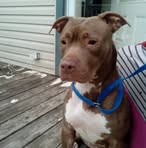 Profile Picture of Larry Weiss (@Larry-Weiss) on Facebook