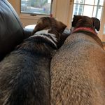 Profile Picture of Scott Rutz (@scott.rutz) on Instagram