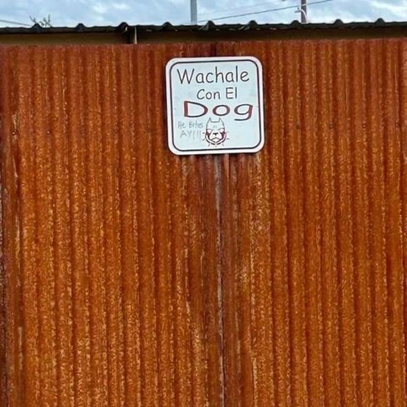 Profile Picture of Eric Roqueni (@eroqueni) on Poshmark