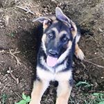 Profile Picture of Brian Mccague (@brianmccague) on Instagram