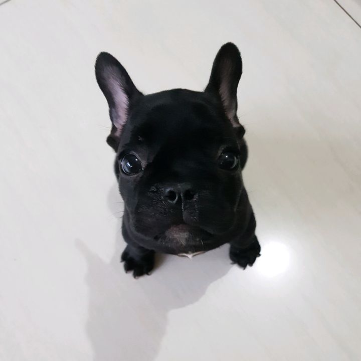 Profile Picture of imhere (@dongxukim) on Tiktok