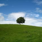 Profile Picture of Joseph Oxley (@Joseph-Oxley) on Facebook