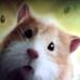 Profile Picture of Hac Ker (@hac.ker.1217727) on Facebook