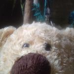 Profile Picture of Cedric Abraham Diorda (@cedricabrahamdiorda) on Instagram