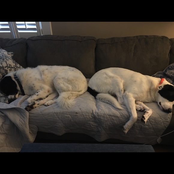 Paulette Nestrick - Poshmark Profile Picture of Paulette Nestrick (@pfnestrick) on Poshmark