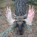 Profile Picture of Johan Hvegholm (@jhvegholm) on Pinterest
