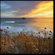 Profile Picture of Paulette O'Connell (@pauletteoconnell6724) on Youtube