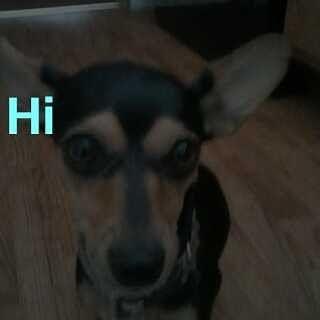 Profile Picture of Monet_is_me (@I_Love_Tyler123) on Twitter