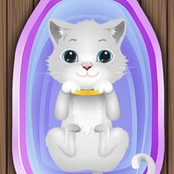 Profile Picture of Amber Nicole Smart (@ambersmart84) on Twitter