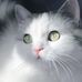 Profile Picture of Alice Wilder (@Alice-Wilder) on Facebook