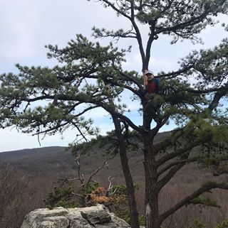 AJ Parascandola - Facebook Profile Picture of AJ Parascandola (@AJ-Parascandola) on Facebook