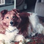 Profile Picture of John Brassey (@johneebrassey) on Instagram