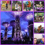 Profile Picture of Robert Gilliland (@robert.gilliland2) on Instagram