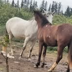 Profile Picture of Elhadef Bilal (@elhadef.bilal) on Facebook