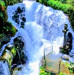 Profile Picture of Daniel Ledesma (@Daniel-Ledesma) on Facebook