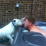 Profile Picture of richard_finch (@richard_finch) on Instagram