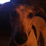 Profile Picture of Marjorie Newark McLaughlin (@newarkmclaughlin) on Instagram