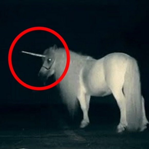 Profile Picture of Juliet Jacobson (@fallvega) on Poshmark