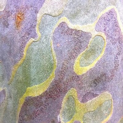 Profile Picture of Simon Quinn (@framejunkie) on Twitter