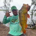 Profile Picture of David Fernandez (@davidfishnanigans) on Instagram