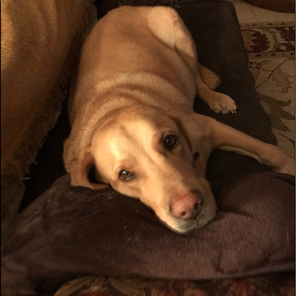 Profile Picture of Gayle Moudry (@gam4650) on Poshmark