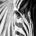 Profile Picture of Tabitha Adamson (@dexi.wisconsi) on Facebook