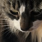 Shelly Foster - Facebook Profile Picture of Shelly Foster (@shelly.foster.5872) on Facebook