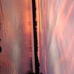 Profile Picture of Eli Barker (@elibarker_28) on Instagram