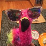 Profile Picture of Ricardo the Flamingo (@ricardo.the.flamingo) on Instagram