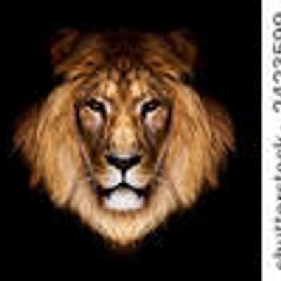 Anna Maria Lucarelli - Twitter Profile Picture of Anna Maria Lucarelli (@rocciarossonera) on Twitter