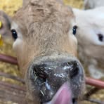 Profile Picture of Scott Rouse (@Scott-Rouse) on Facebook