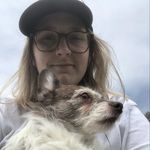 Profile Picture of moira mccarthy (@moiramccarthy) on Instagram