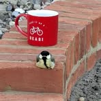 Profile Picture of Andy Fay (@andy.fay.505) on Facebook