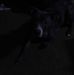 Profile Picture of Jamison Thompson (@jamison.thompson.9041) on Facebook
