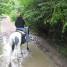 Profile Picture of Alison Goss (@alisonfaith) on Pinterest