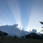 Andrew Dobbins - Instagram Profile Picture of Andrew Dobbins (@casadedobbins) on Instagram