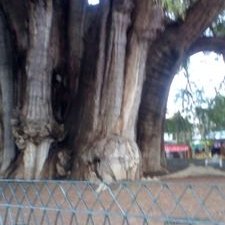 Profile Picture of David Canseco (@Davidcanseco13) on Twitter