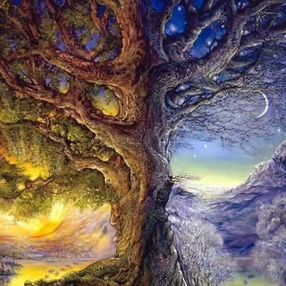 Profile Picture of Maurice Light (@lightmaurice) on Instagram