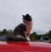Profile Picture of Kevin Mackay (@kevin.mackay.353) on Facebook