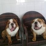 Profile Picture of paul chamberlain (@chamberlain322) on Instagram