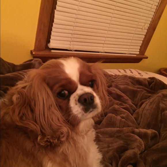 Profile Picture of Joanie Evrard (@jeevrard) on Poshmark