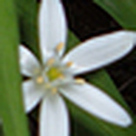 Profile Picture of Amanda.k.simpson (@amanda.k.simpson) on Flickr